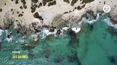 Ibiza Beaches – Platja de Ses Salines